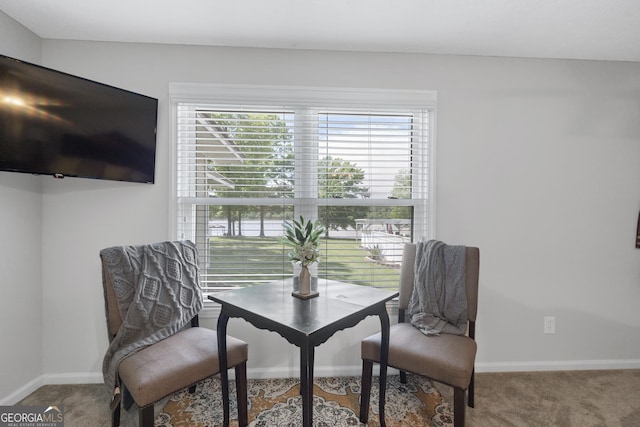 living area featuring carpet floors