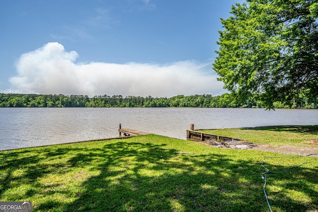 dock area with a yard and a water view