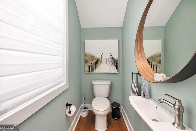 bathroom featuring toilet, sink, and hardwood / wood-style floors