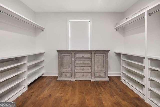 walk in closet with dark wood-type flooring