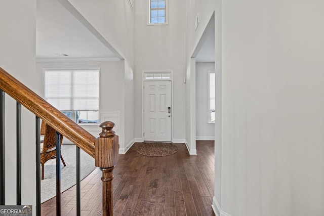 foyer entrance featuring a high ceiling and dark hardwood / wood-style flooring