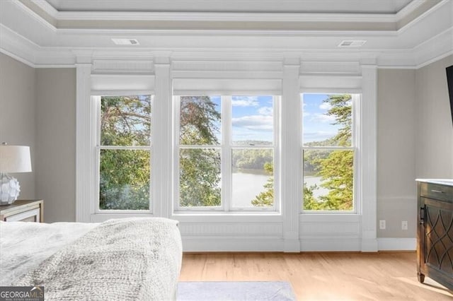 bedroom featuring a raised ceiling, ornamental molding, and multiple windows