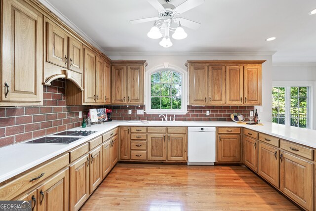 kitchen with white dishwasher, black electric stovetop, light hardwood / wood-style flooring, and tasteful backsplash