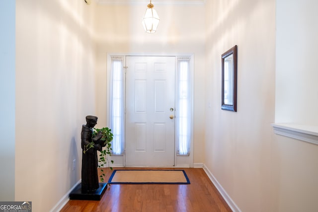 foyer featuring wood-type flooring and a wealth of natural light