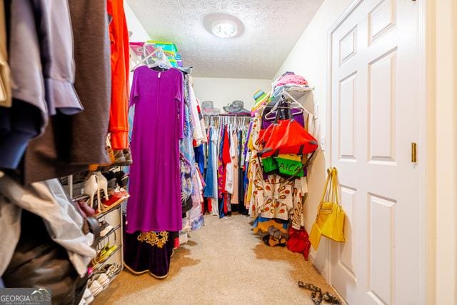 walk in closet featuring carpet