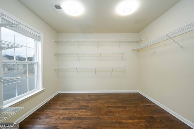 spacious closet featuring dark hardwood / wood-style flooring