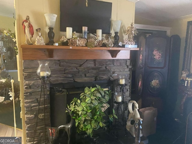 room details with ornamental molding and a stone fireplace