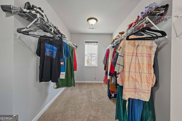 view of spacious closet