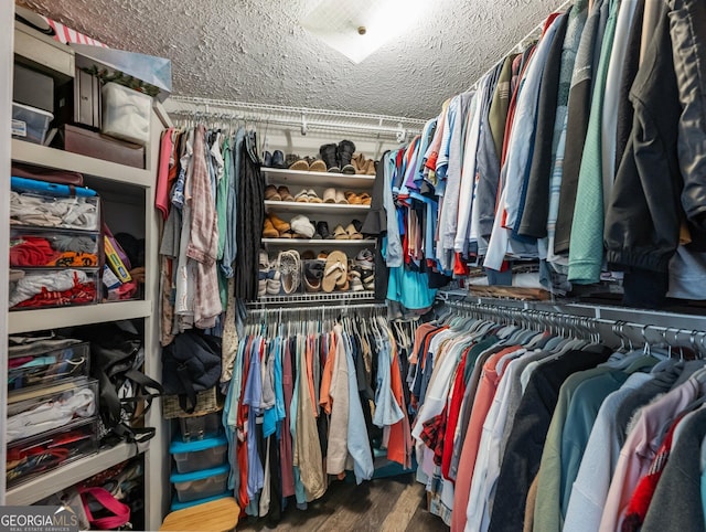 view of spacious closet