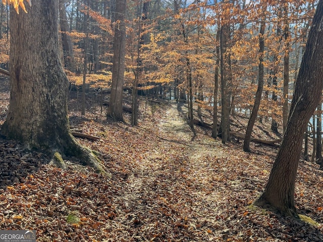 view of landscape