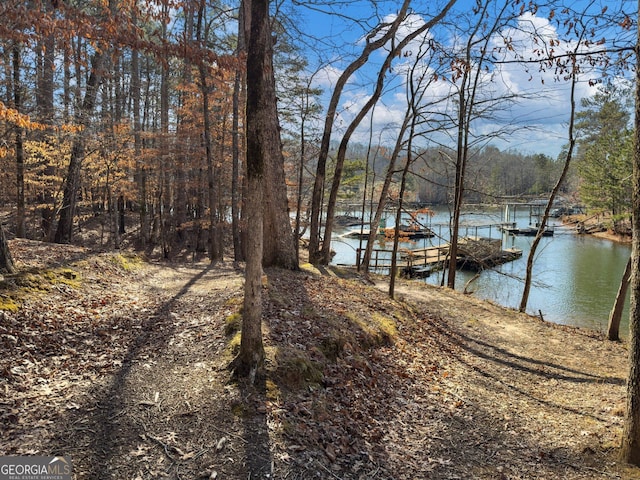 water view featuring a boat dock