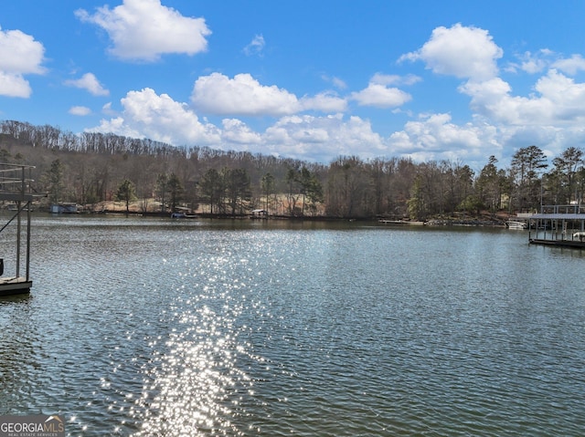 view of water feature