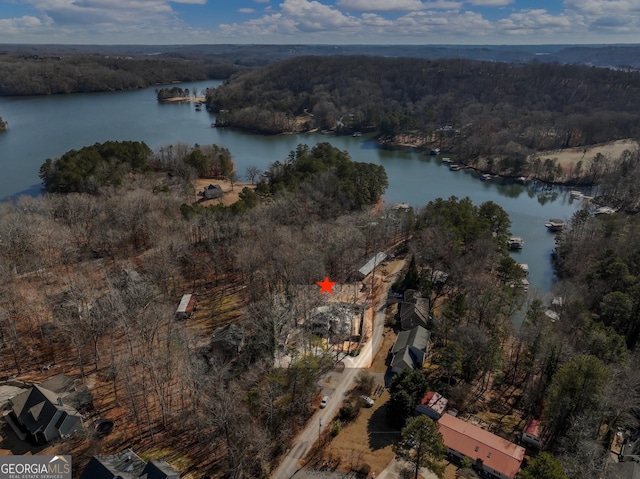 drone / aerial view featuring a water view