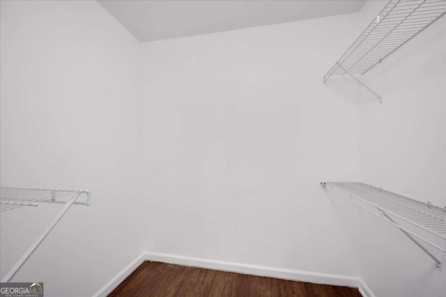 spacious closet with dark hardwood / wood-style flooring