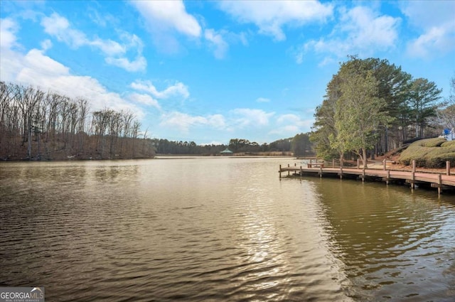 view of water feature with a boat dock