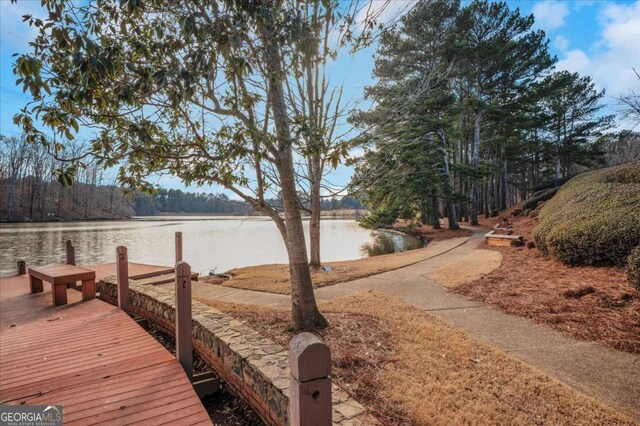 dock area with a water view