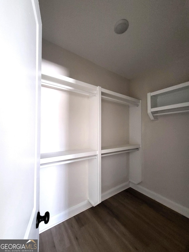 walk in closet with wood finished floors