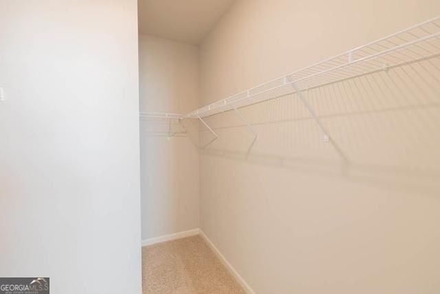 walk in closet with carpet floors