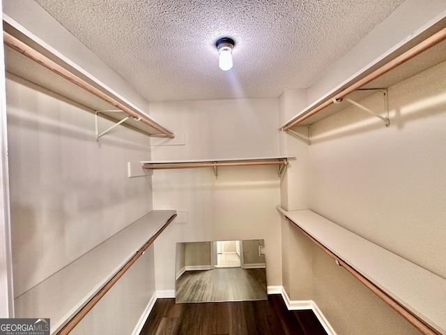 spacious closet with dark hardwood / wood-style flooring