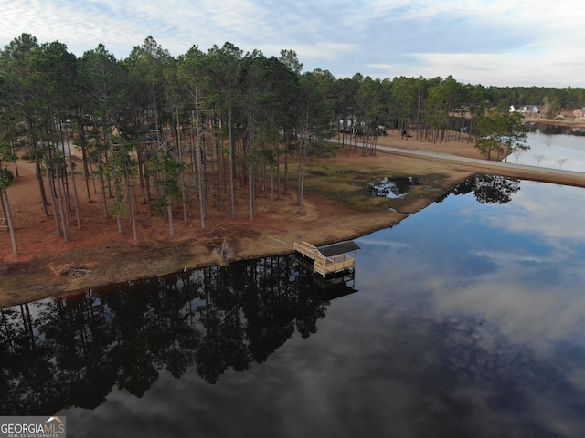 property view of water with a dock