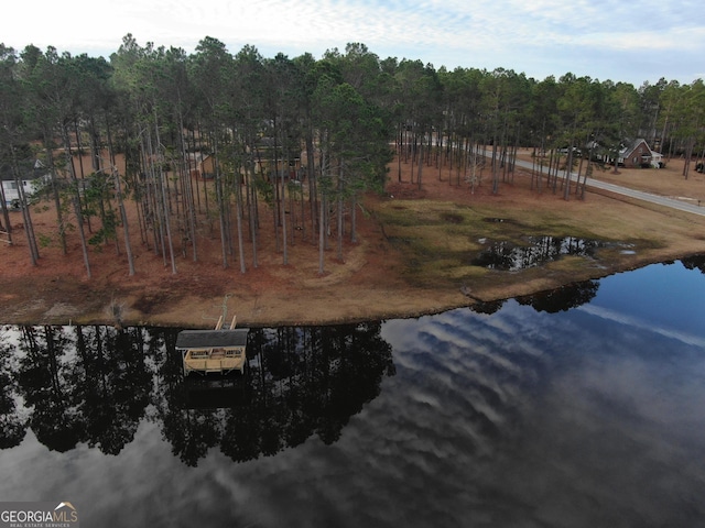 bird's eye view featuring a rural view and a water view