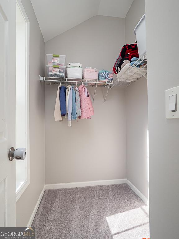 spacious closet featuring lofted ceiling and carpet flooring