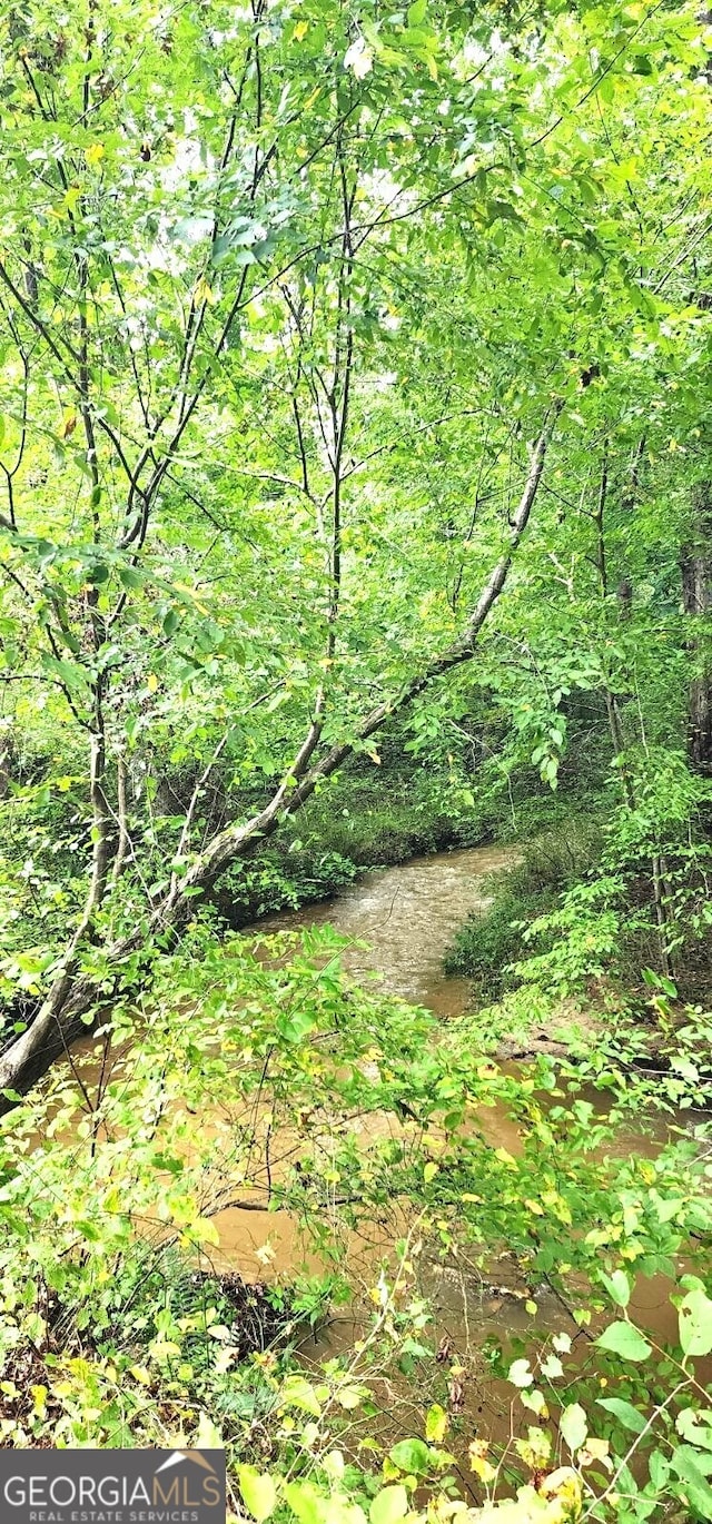 view of local wilderness featuring a water view