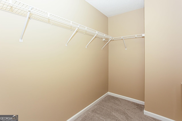 spacious closet featuring carpet flooring