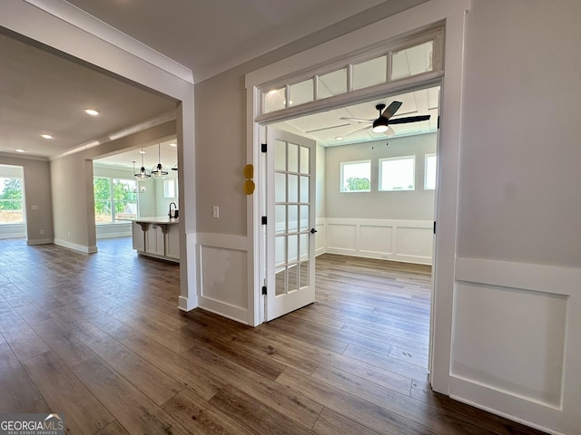 entryway with a healthy amount of sunlight, crown molding, ceiling fan with notable chandelier, and dark wood-style floors