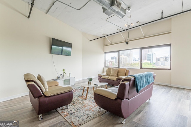 living room featuring wood-type flooring