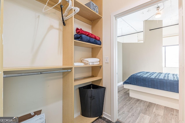 spacious closet with light hardwood / wood-style flooring