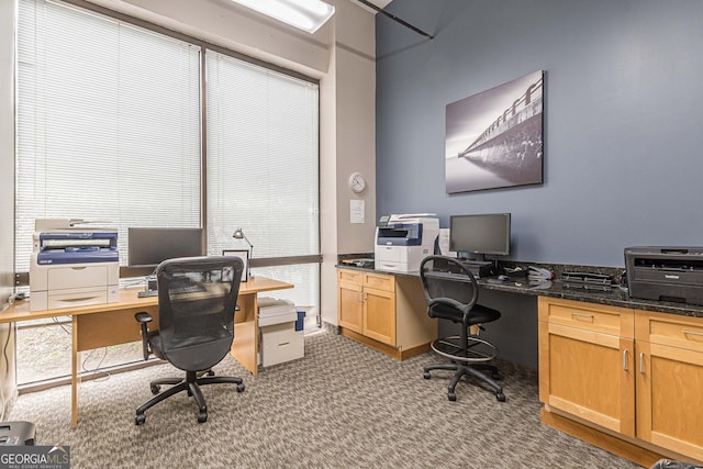 view of carpeted office