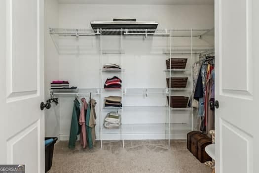 spacious closet with carpet flooring