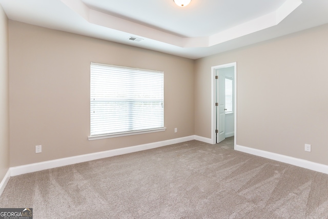 carpeted empty room with a raised ceiling and plenty of natural light