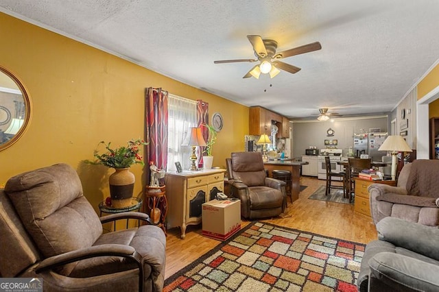 living room with crown molding, ceiling fan, light hardwood / wood-style flooring, and a textured ceiling