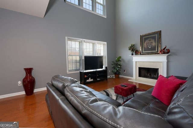 living room with wood-type flooring, a high ceiling, and a wealth of natural light