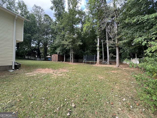 view of yard featuring a shed and a trampoline