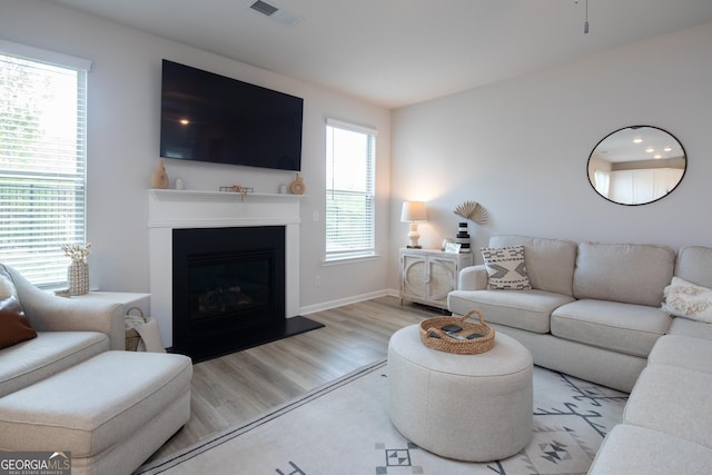 living room featuring light hardwood / wood-style floors