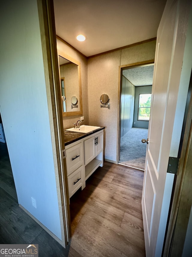 bathroom with vanity and wood-type flooring