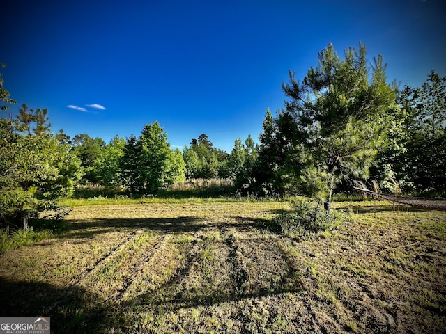 view of local wilderness