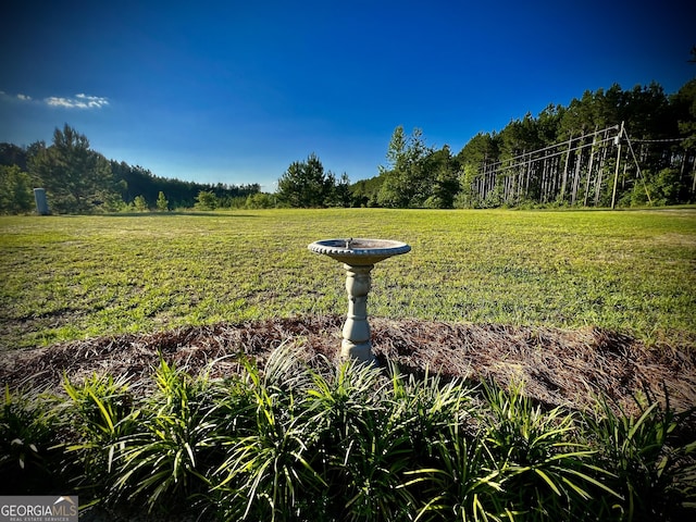 view of yard featuring a rural view