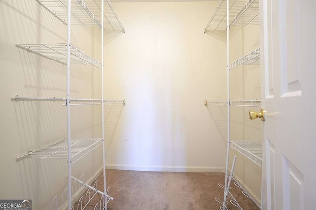 spacious closet featuring carpet flooring