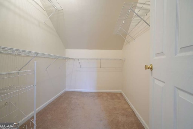 spacious closet featuring lofted ceiling and carpet floors