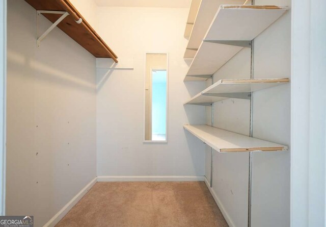 walk in closet featuring light colored carpet