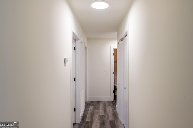 hallway with dark wood-type flooring