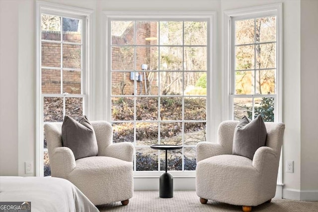 living area with plenty of natural light