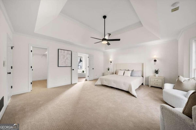 bedroom featuring a raised ceiling, a closet, ceiling fan, and a spacious closet