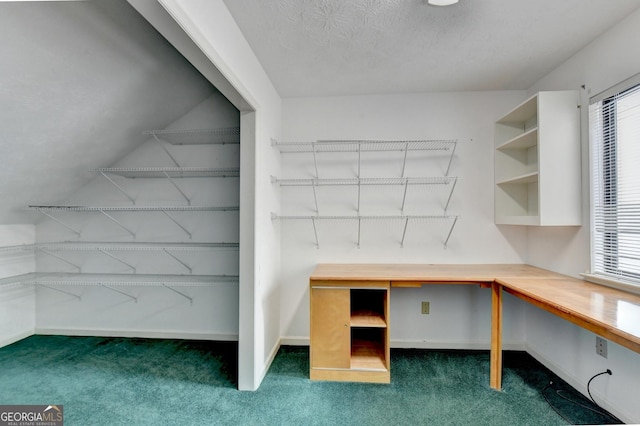 spacious closet with built in desk and dark carpet