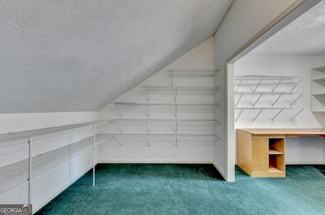 additional living space with a textured ceiling, vaulted ceiling, and carpet floors