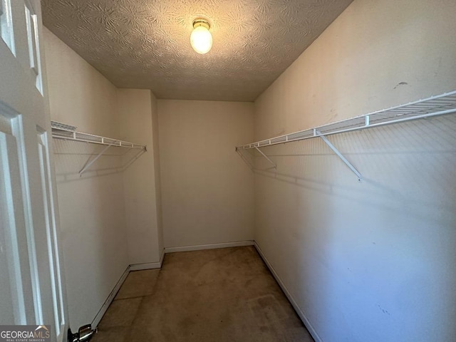 view of walk in closet